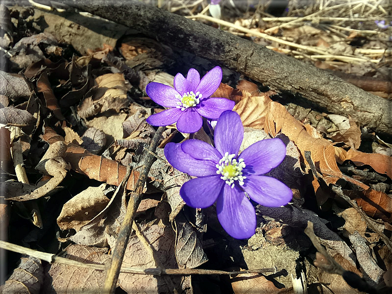 foto Monte Due Mani